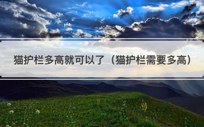 猫护栏多高就可以了（猫护栏需要多高）